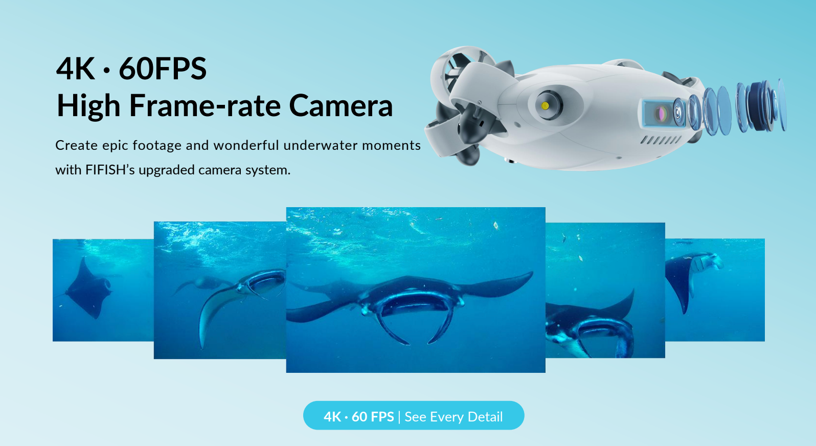 Fifishvevobanner00002
