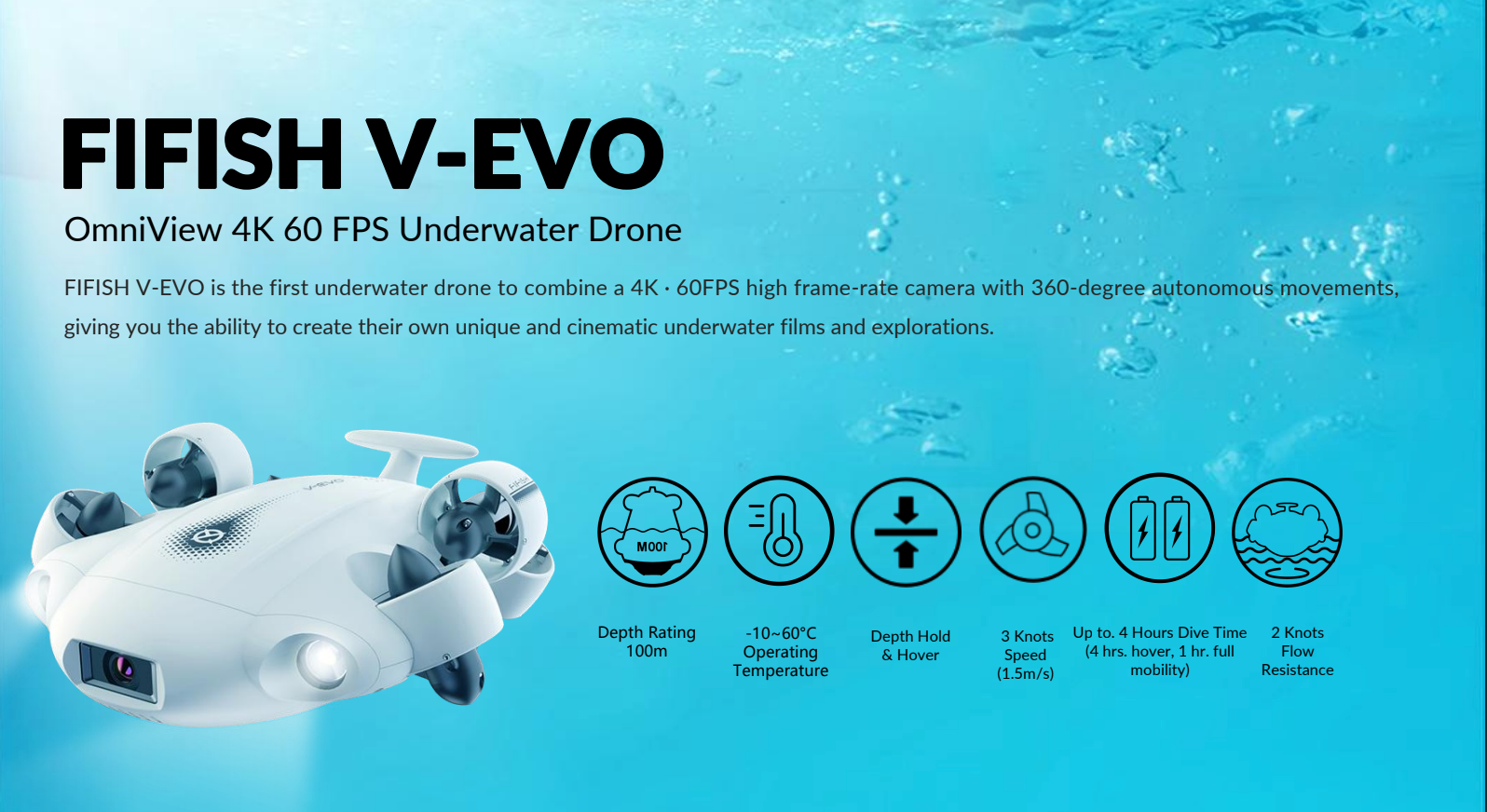 Fifishvevobanner00003